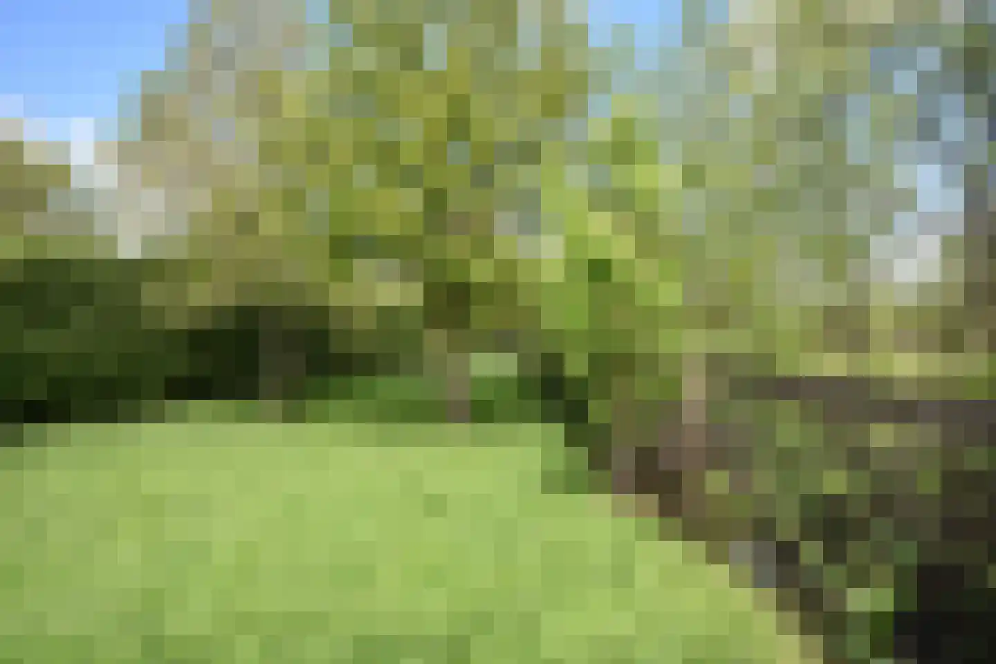 Woudweg 14 Noardburgum thumbnail 14