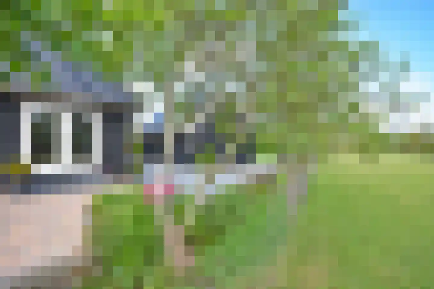 Woudweg 14 Noardburgum thumbnail 19