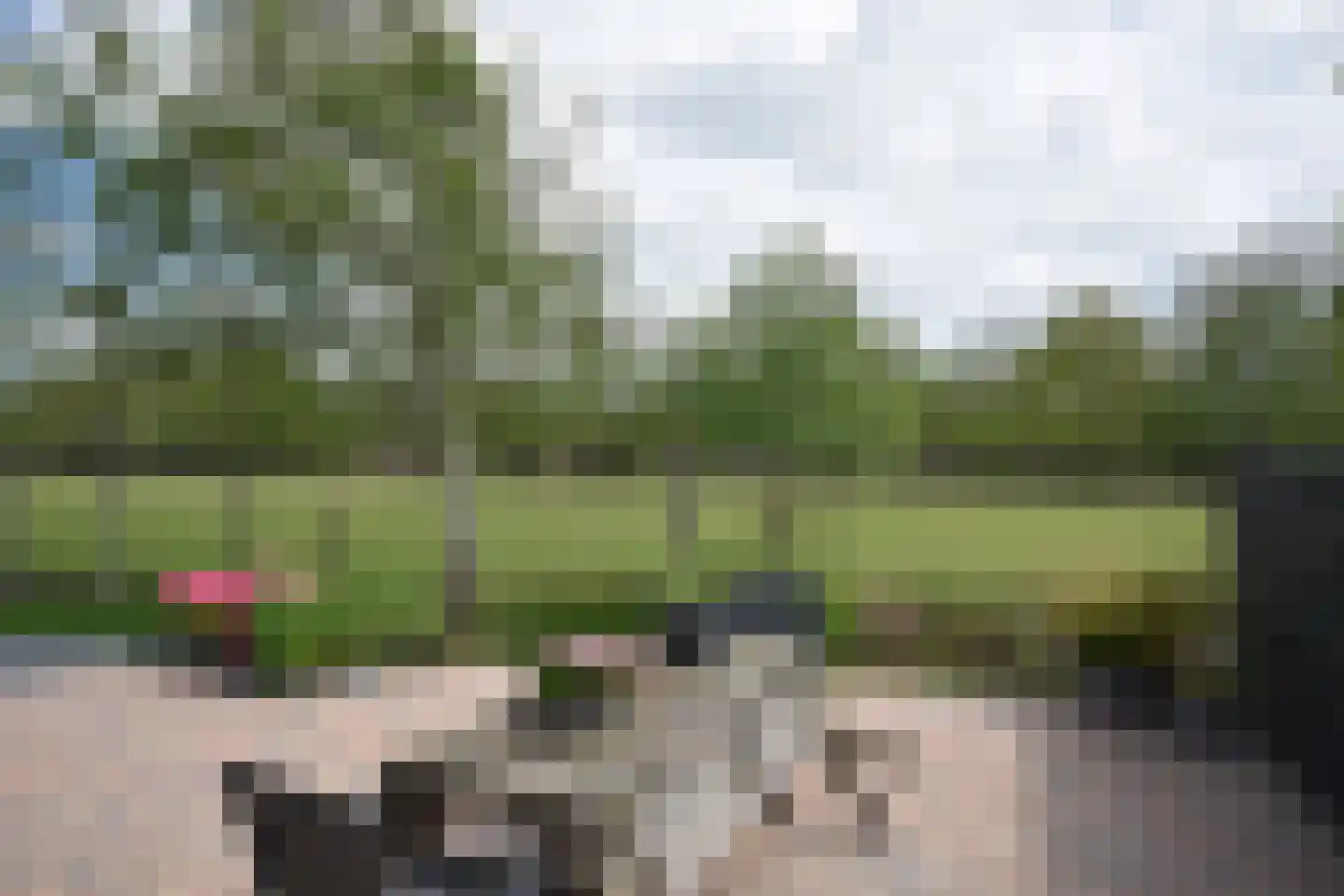 Woudweg 14 Noardburgum thumbnail 23