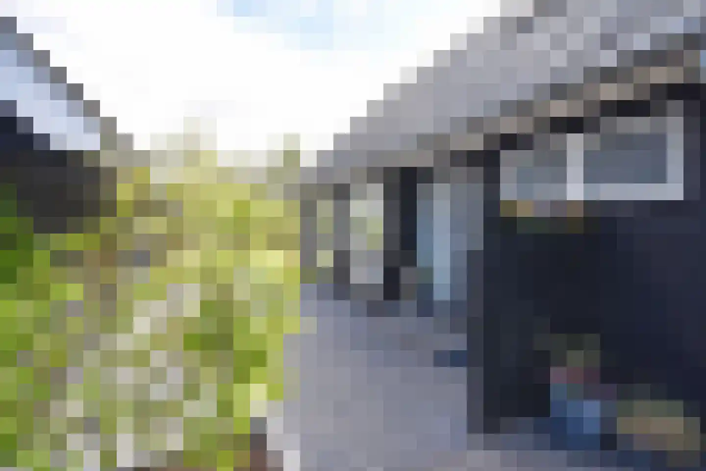 Woudweg 14 Noardburgum thumbnail 7