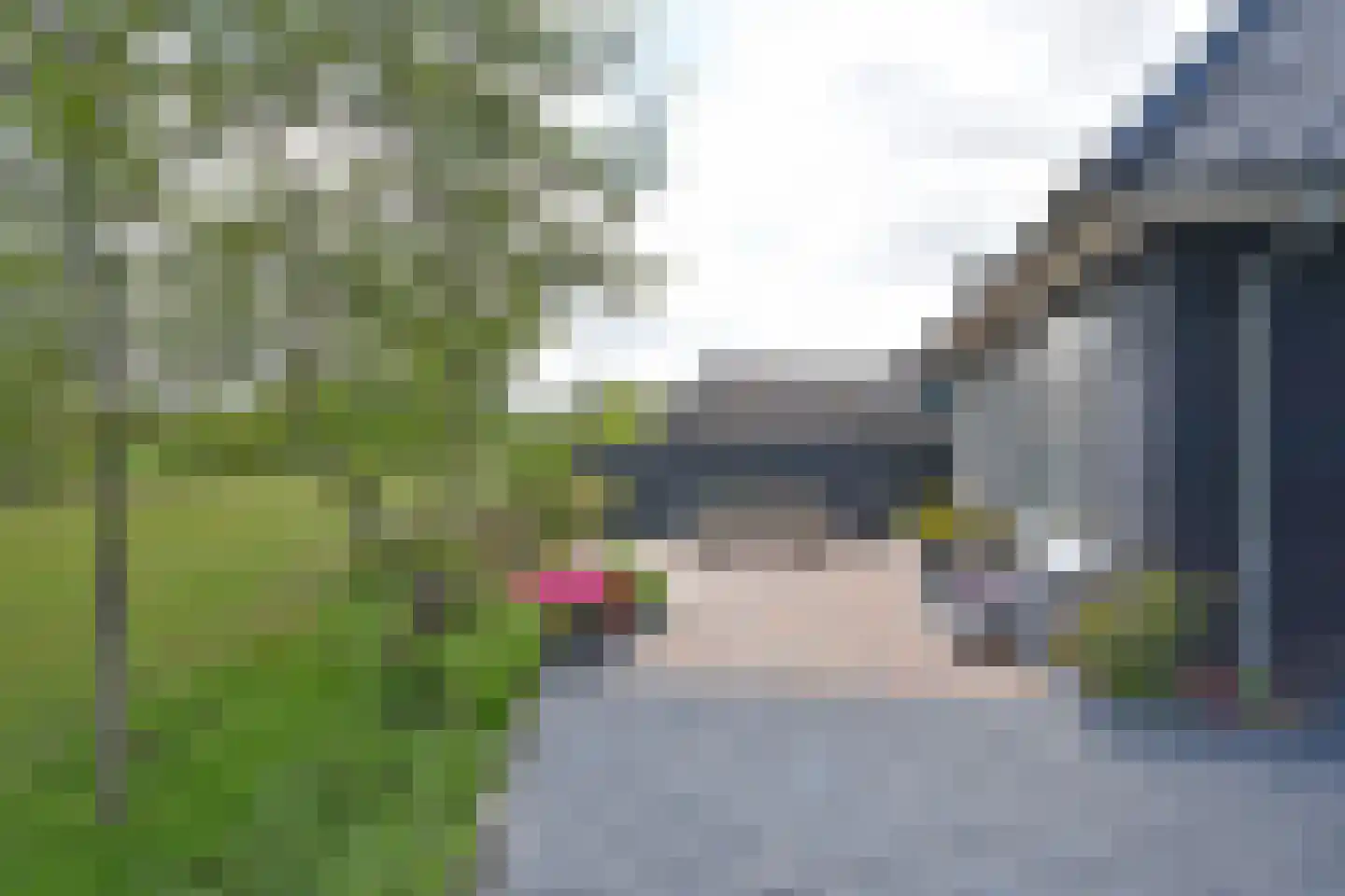 Woudweg 14 Noardburgum thumbnail 9