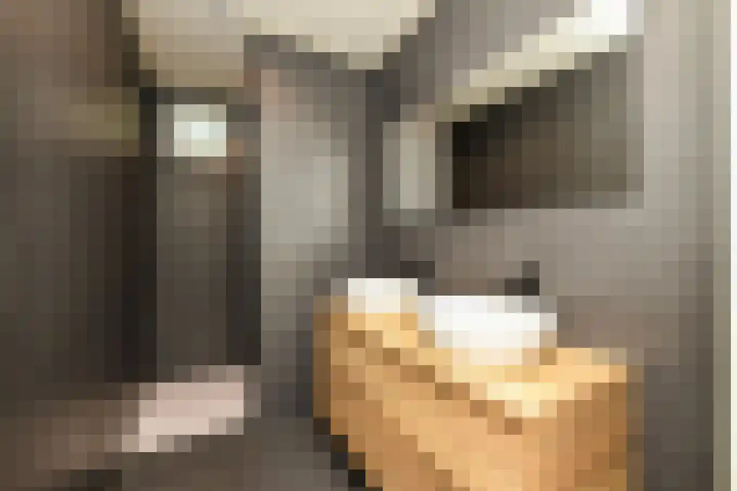 Woudweg 15 015 Nijkerk thumbnail 21