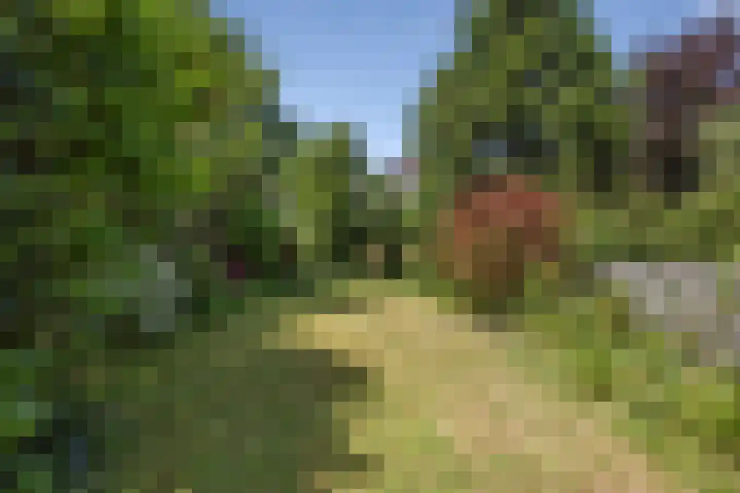 Woudweg 19 Vijfhuizen thumbnail 30