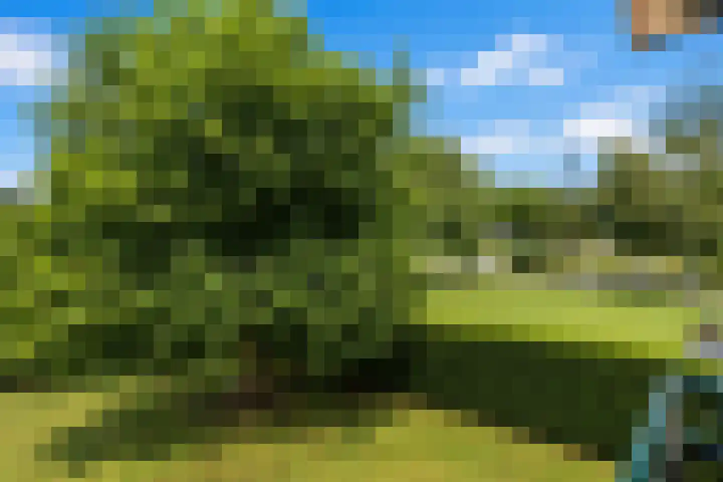 Woudweg 63 A Klarenbeek thumbnail 25