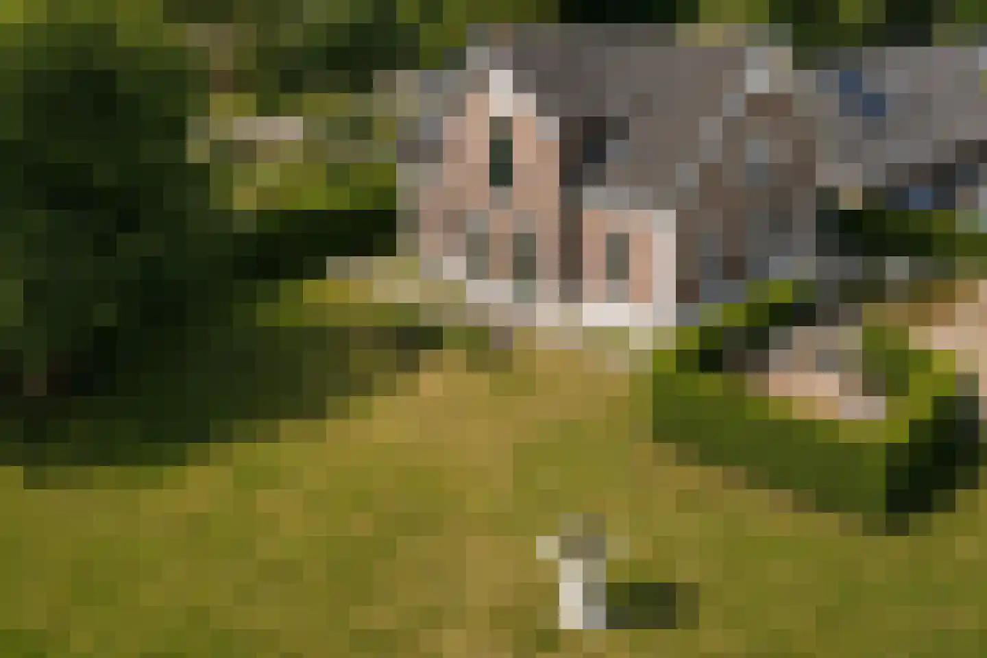 Woudweg 63 A Klarenbeek thumbnail 31