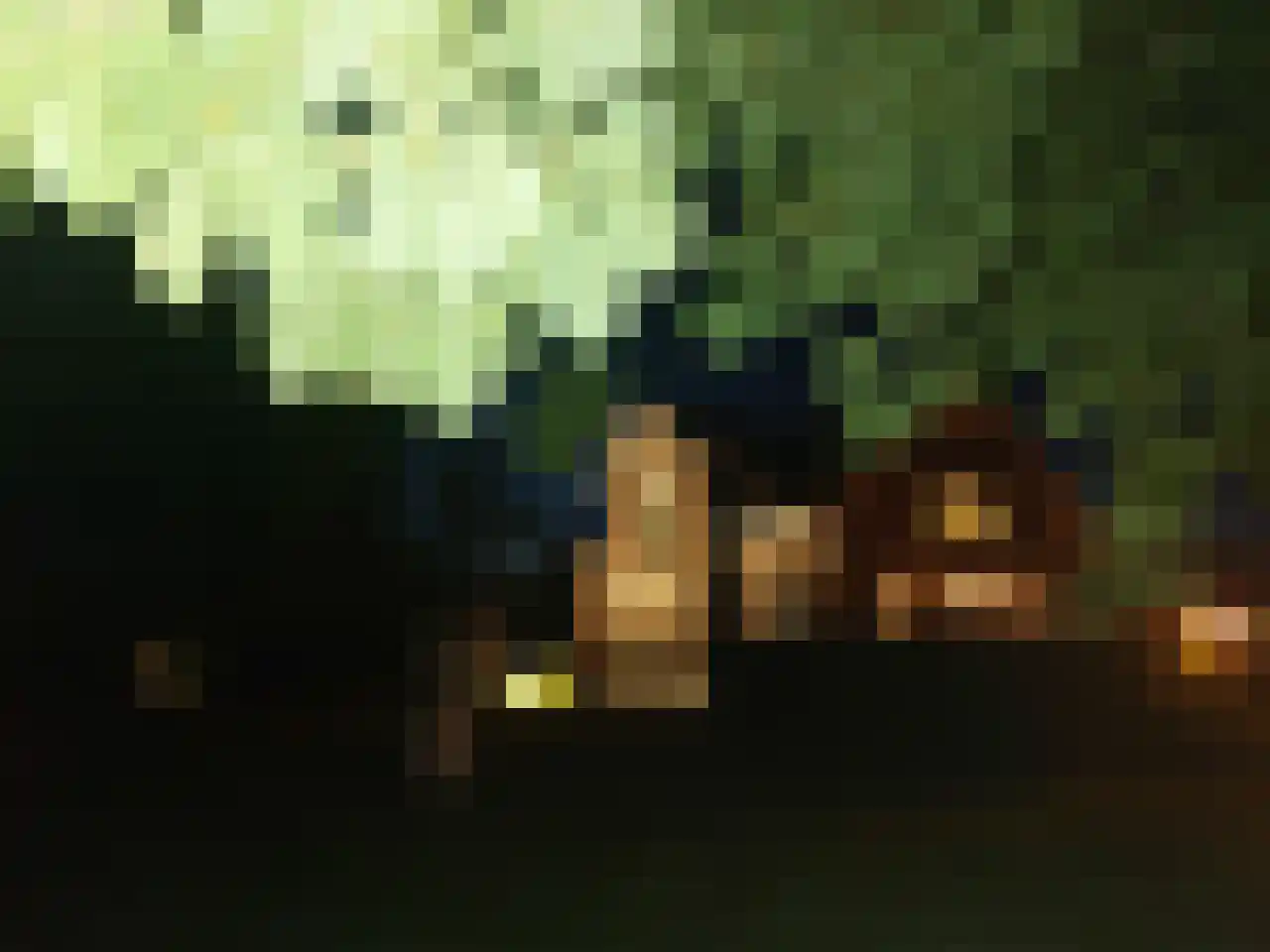 Woudweg 63 A Klarenbeek thumbnail 33