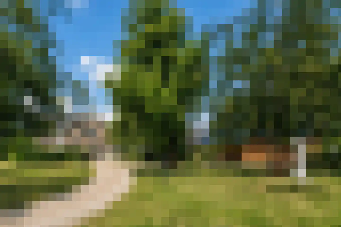 Woudweg 63 A Klarenbeek thumbnail 4