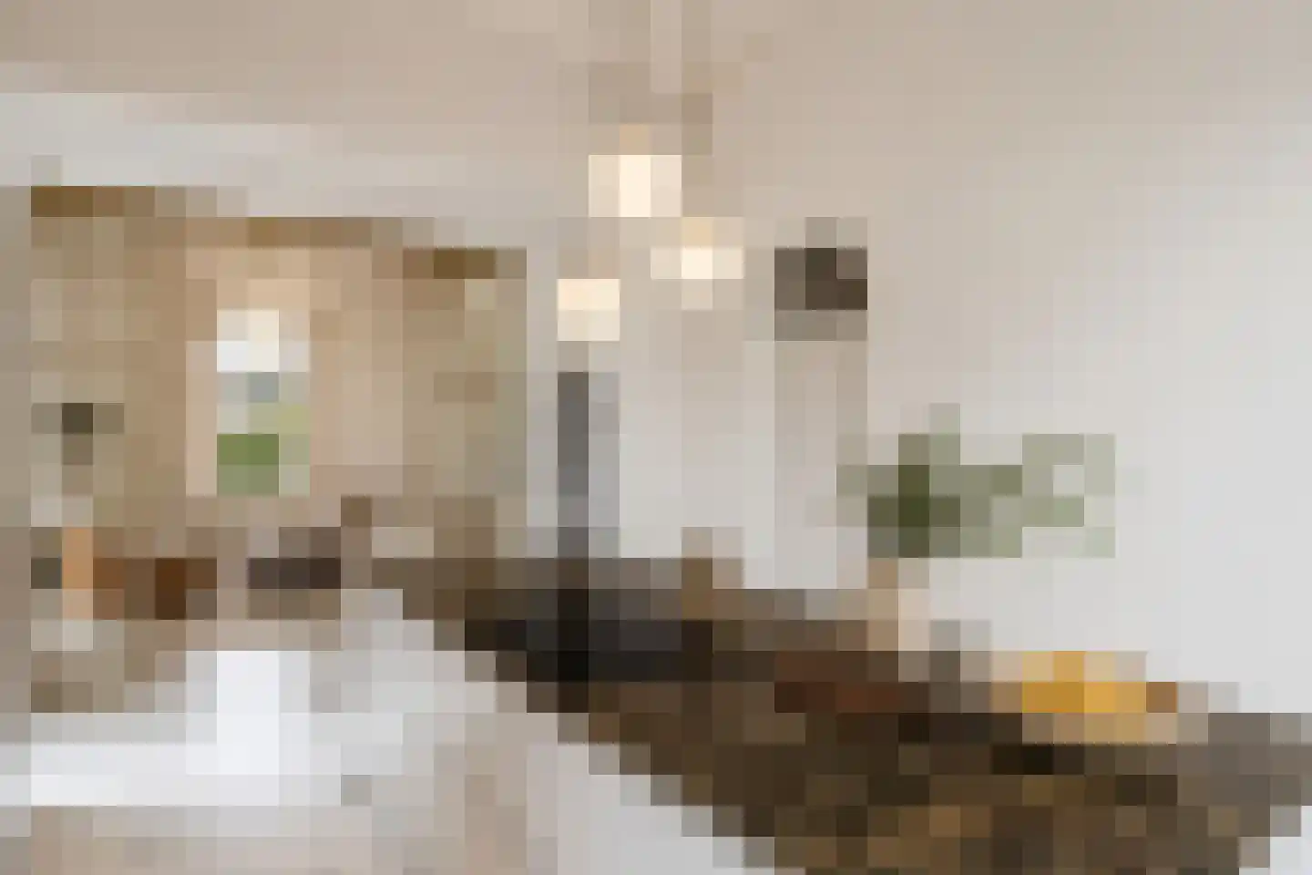 Woudweg 63 Klarenbeek thumbnail 15