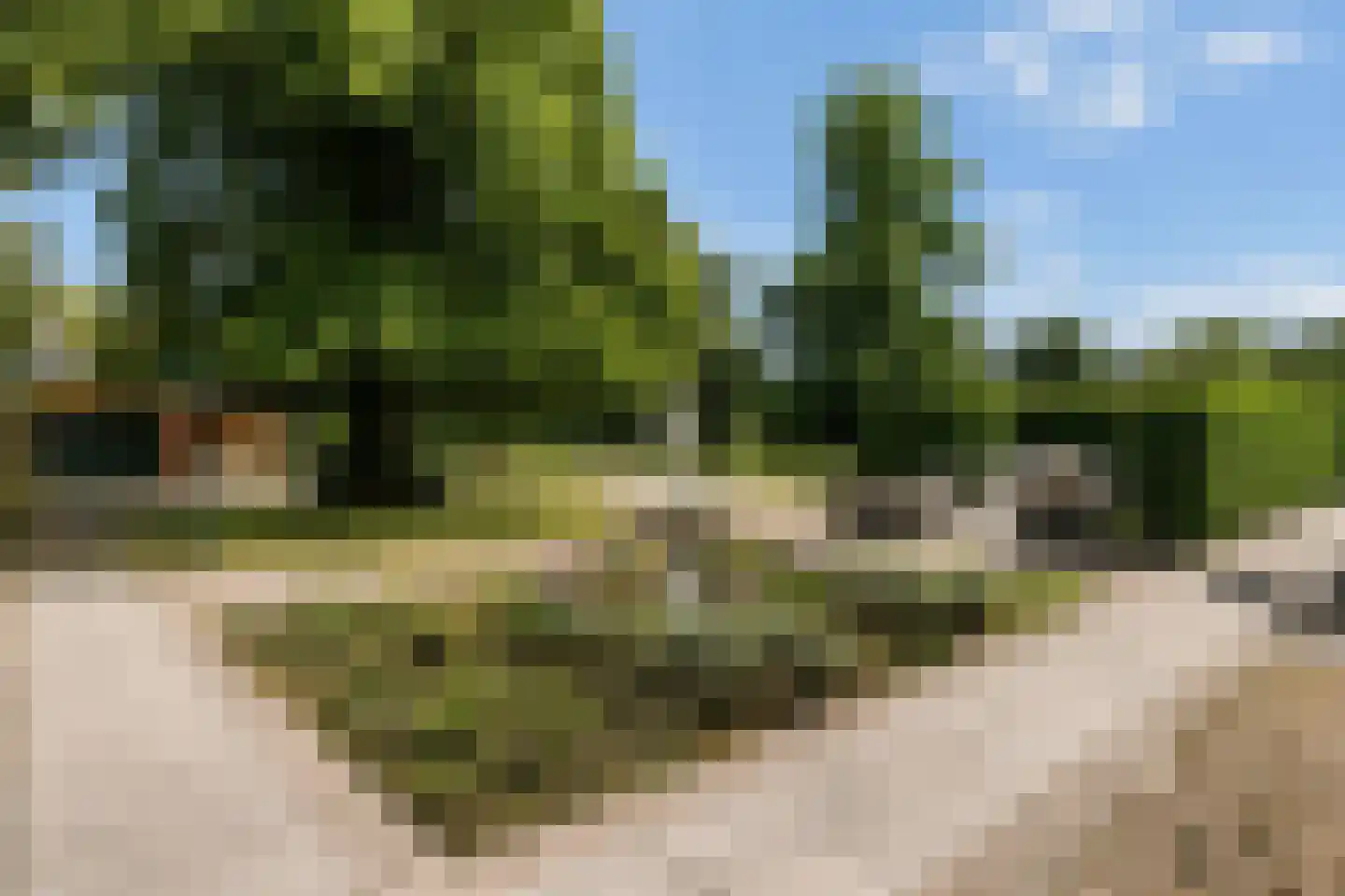 Woudweg 63 Klarenbeek thumbnail 20