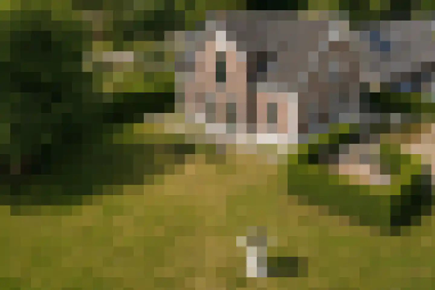 Woudweg 63 Klarenbeek thumbnail 26