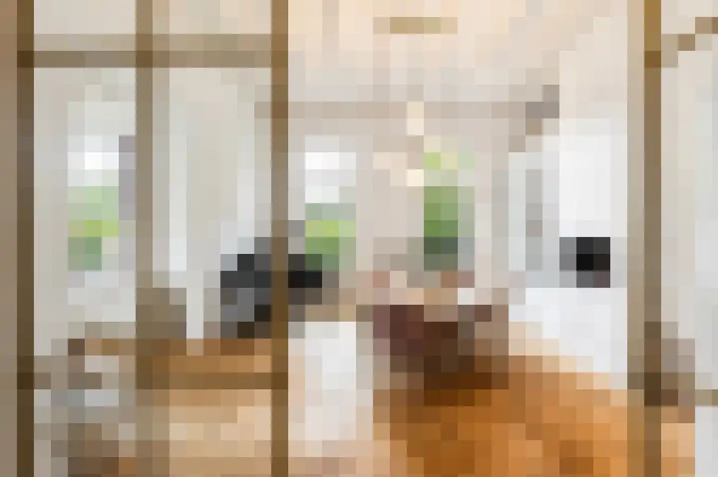Woudweg 63 Klarenbeek thumbnail 6