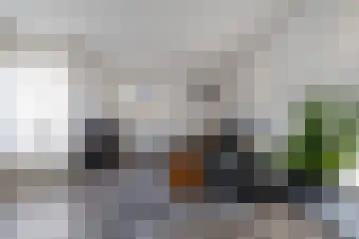 Woudweg 74 Dokkum thumbnail 10