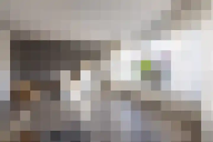 Woudweg 74 Dokkum thumbnail 8