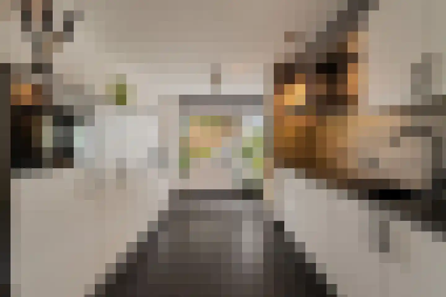Wout van Heusdensingel 113 Rotterdam thumbnail 16
