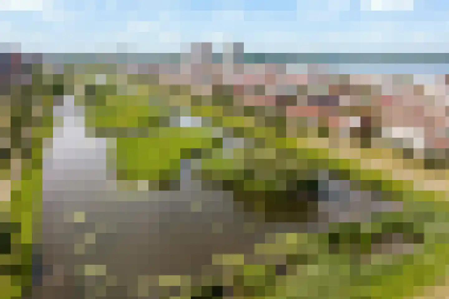 Wout van Heusdensingel 113 Rotterdam thumbnail 39