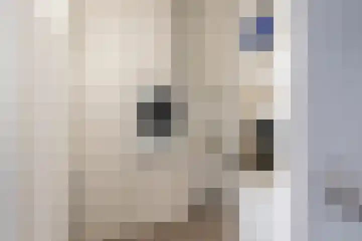 Wout van Heusdensingel 93 Rotterdam thumbnail 28