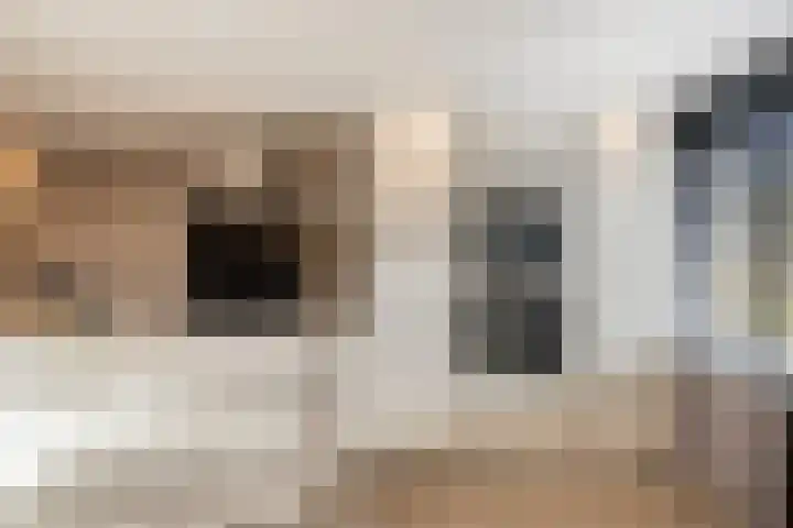 Wout van Heusdensingel 93 Rotterdam thumbnail 7