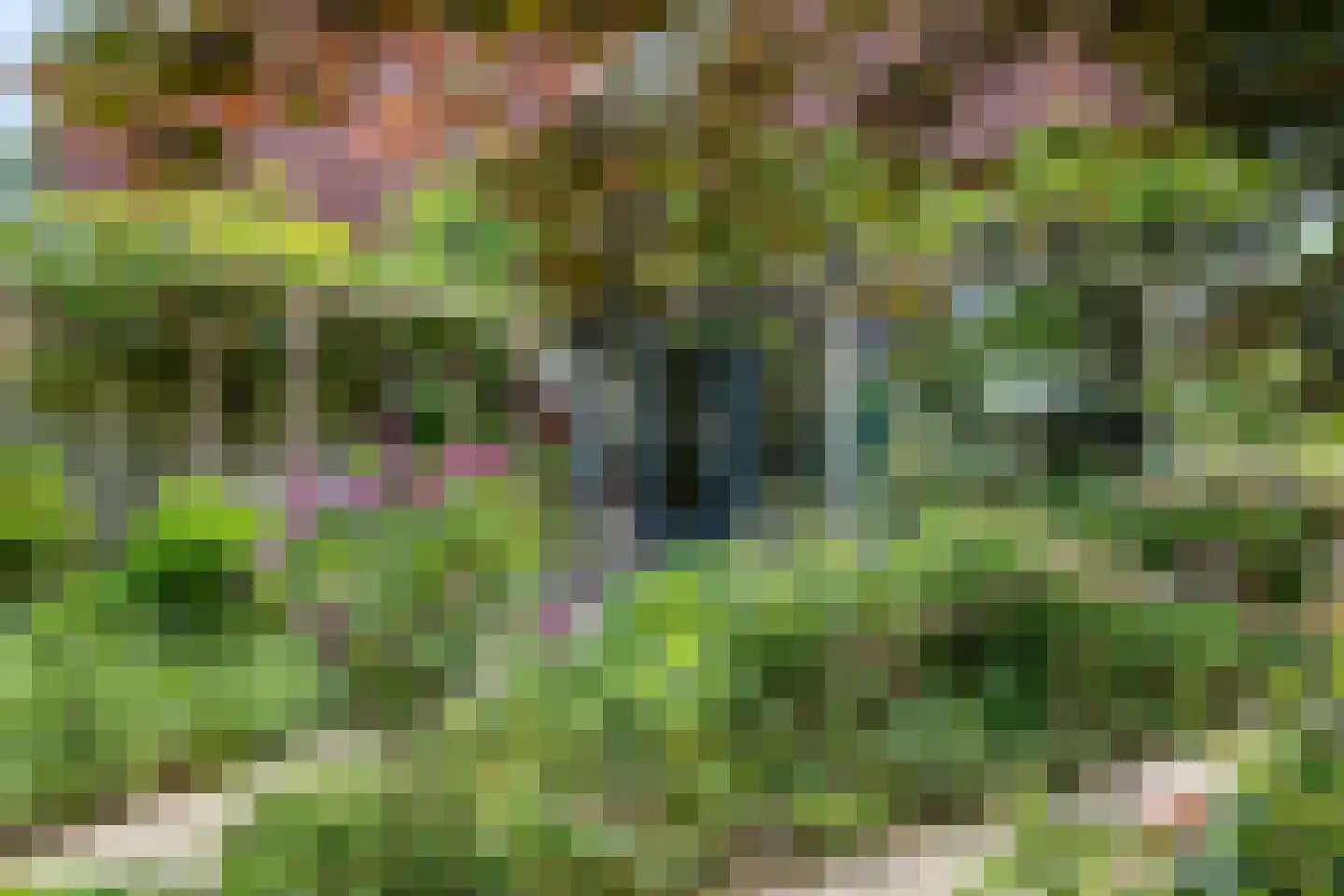 Wout Wagtmanshof 24 Arnhem thumbnail 32