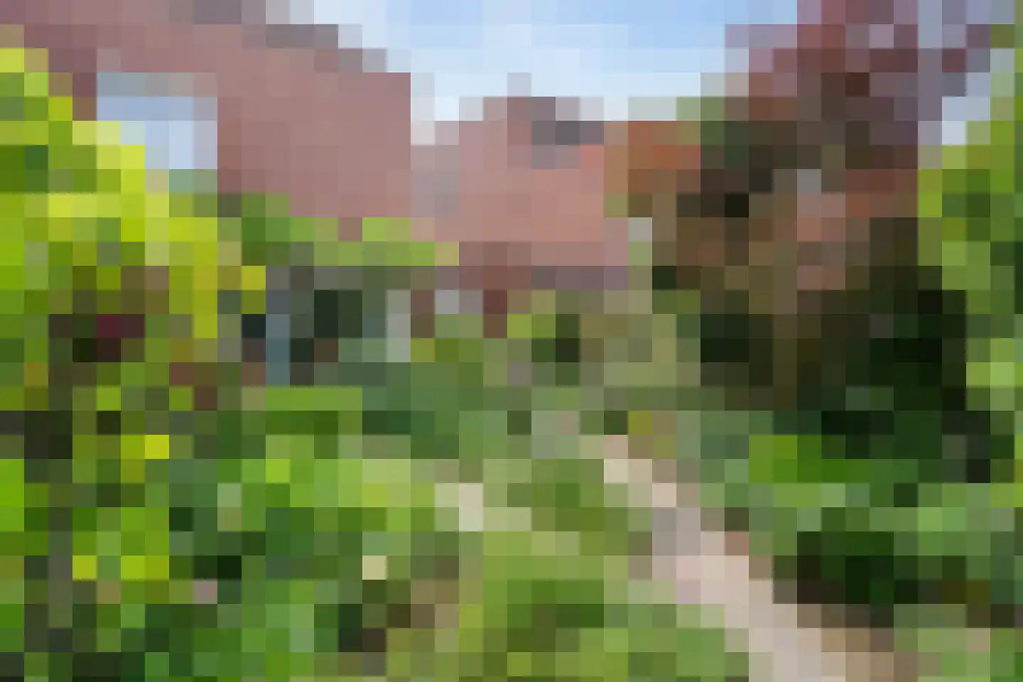 Wout Wagtmanshof 24 Arnhem thumbnail 34