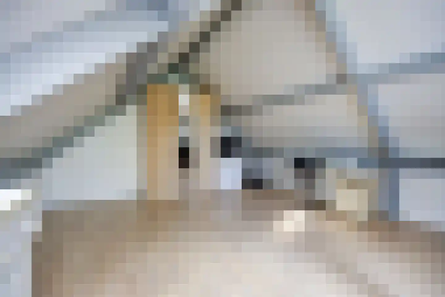 Wouter Berthoutlaan 23 Etten-Leur thumbnail 29