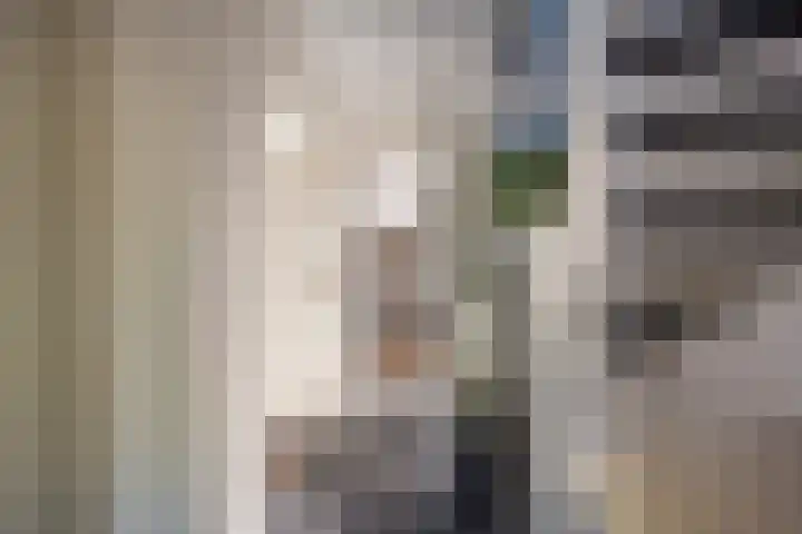 Wouter Blomstraat 44 Nijkerkerveen thumbnail 24