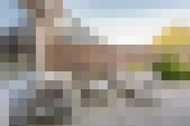 Wouter Blomstraat 44 Nijkerkerveen thumbnail 29
