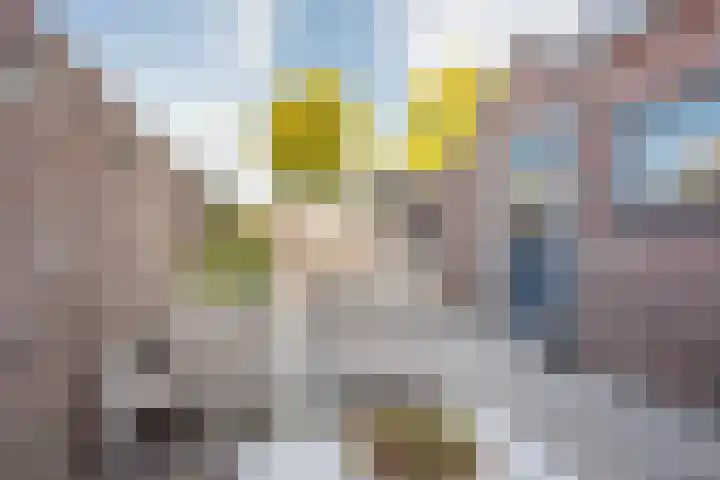 Wouter Blomstraat 44 Nijkerkerveen thumbnail 30