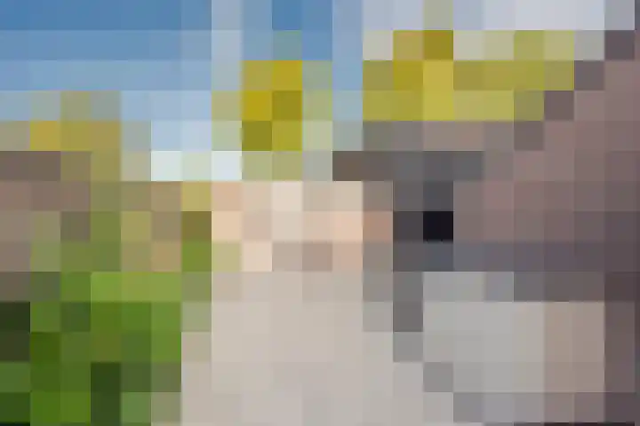 Wouter Blomstraat 44 Nijkerkerveen thumbnail 31