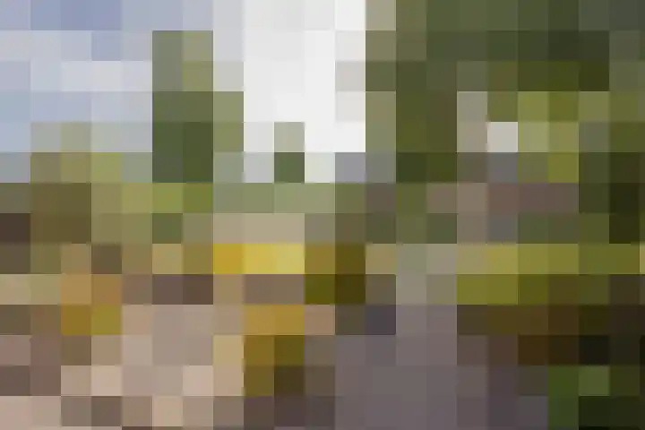 Wouter Blomstraat 44 Nijkerkerveen thumbnail 36
