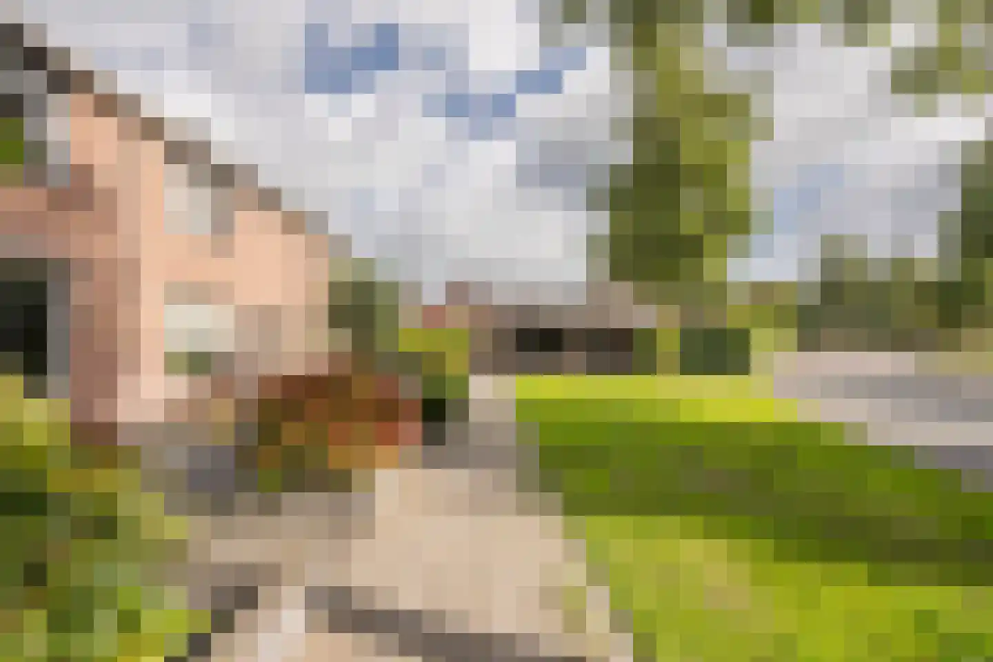 Wouter Blomstraat 44 Nijkerkerveen thumbnail 42
