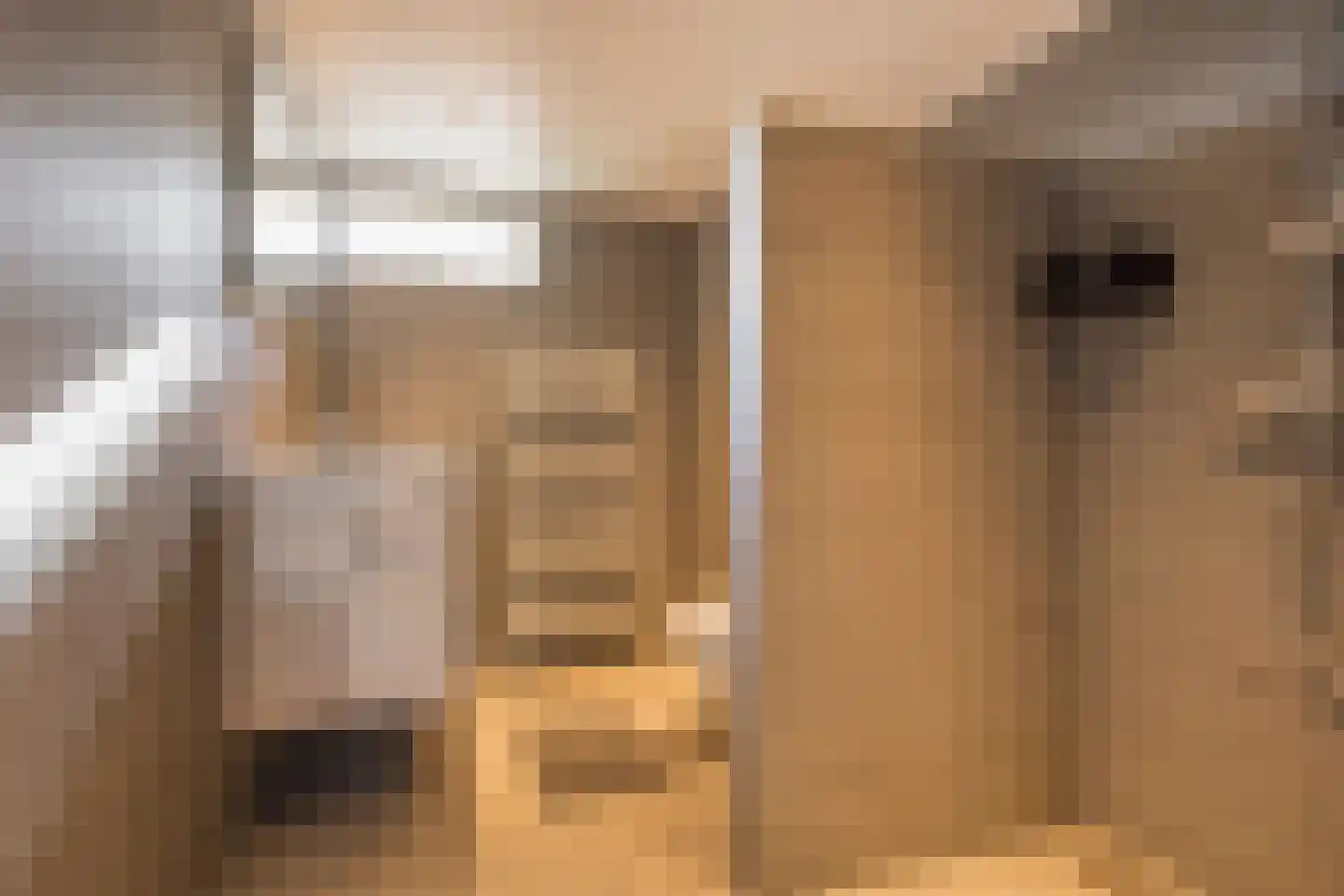 Wouter Blomstraat 44 Nijkerkerveen thumbnail 5
