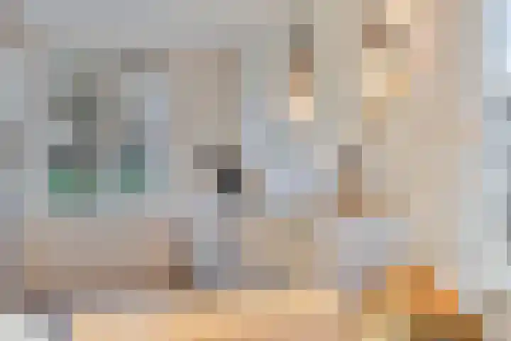 Wouter Hollemanplein 1 Eindhoven thumbnail 11