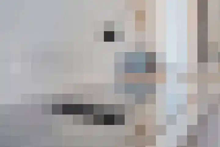 Wouter Hollemanplein 1 Eindhoven thumbnail 15