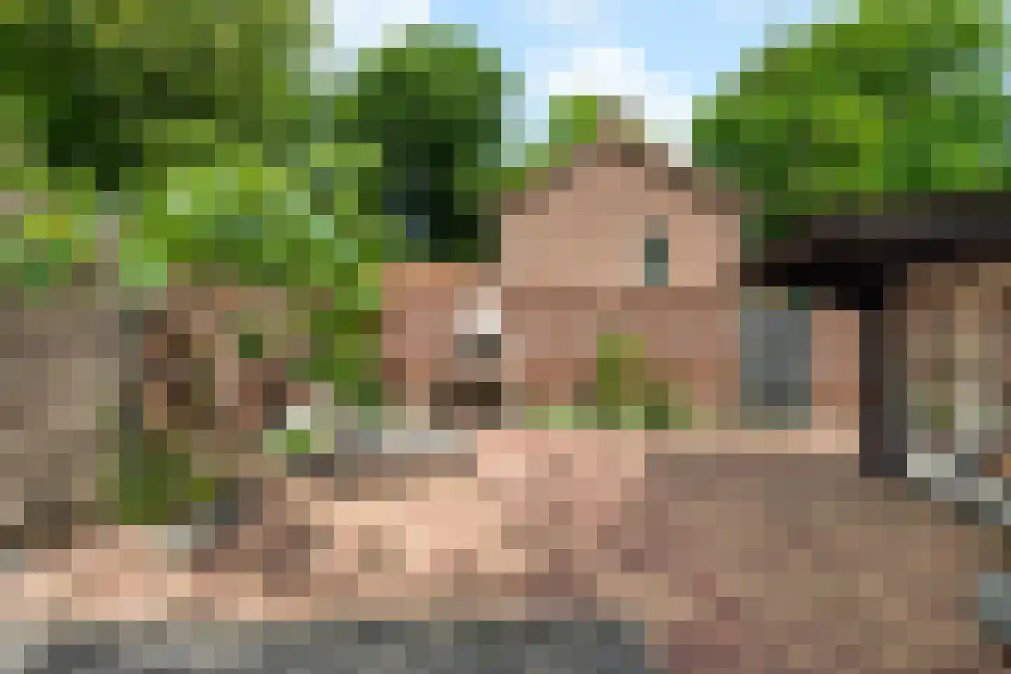 Wouter Klaassenlaan 9 Oosterbeek thumbnail 22