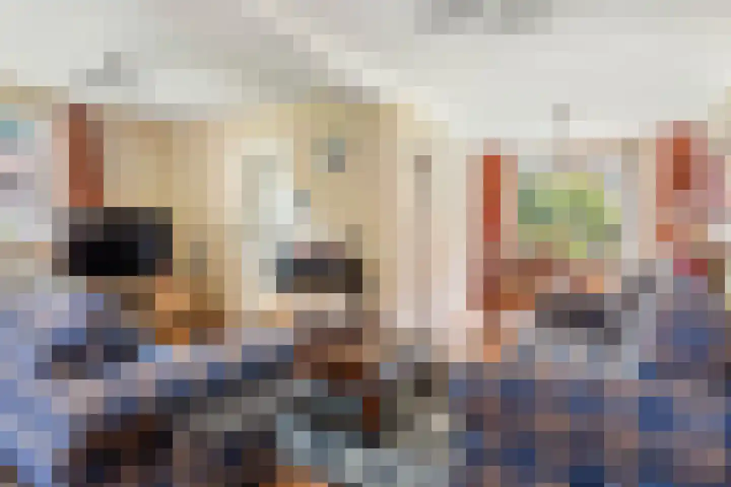Wouter Klaassenlaan 9 Oosterbeek thumbnail 9