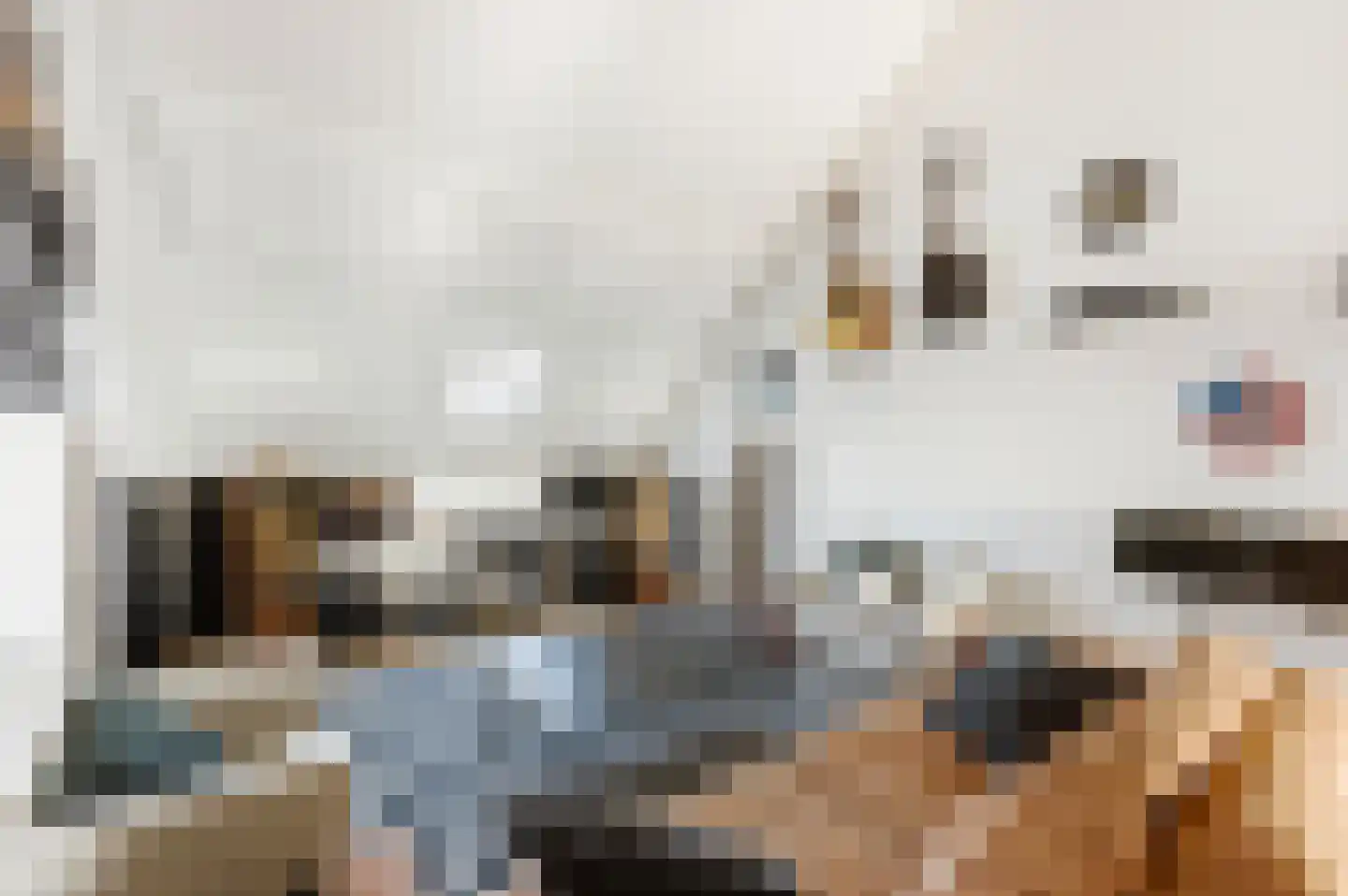 Wouter Oemlaan 11 Papendrecht thumbnail 13