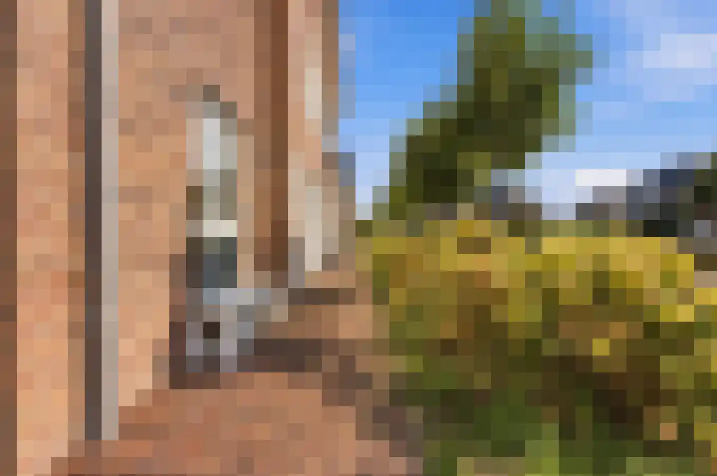 Wouter Oemlaan 11 Papendrecht thumbnail 19