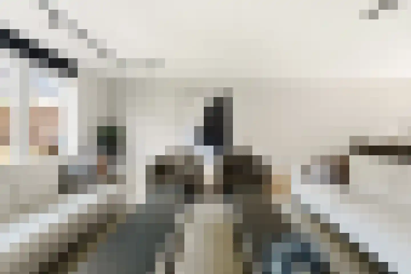 Wouter Oemlaan 11 Papendrecht thumbnail 27
