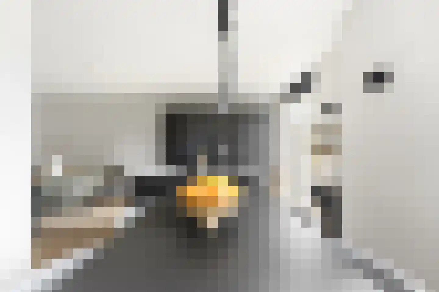 Wouter Oemlaan 11 Papendrecht thumbnail 33