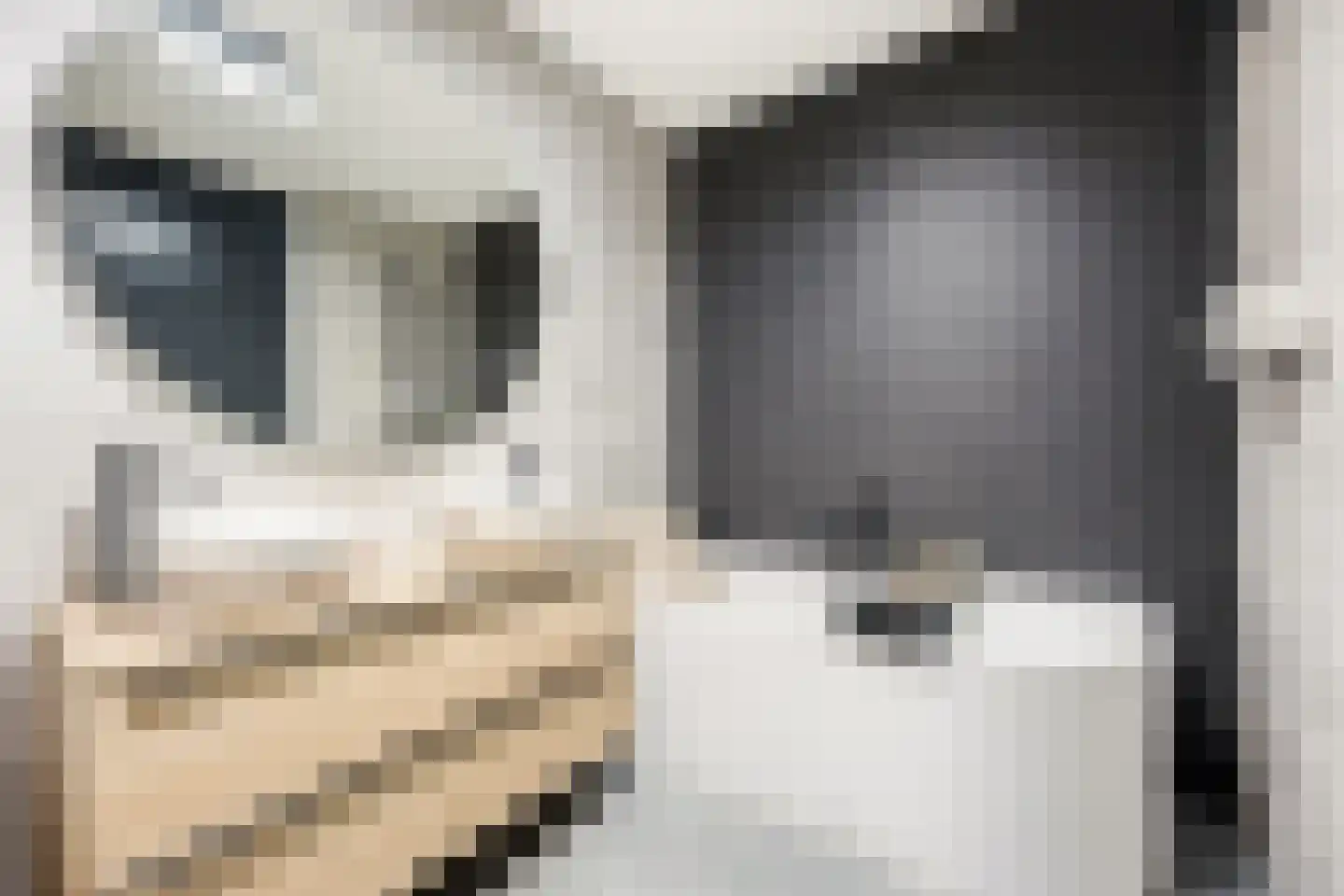Wouter Oemlaan 11 Papendrecht thumbnail 41