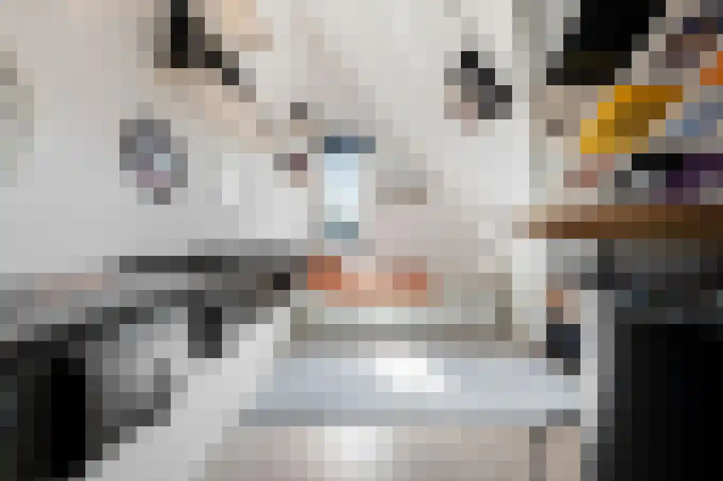 Wouter Oemlaan 11 Papendrecht thumbnail 50