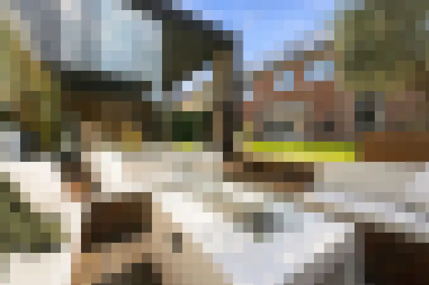 Wouter Oemlaan 11 Papendrecht thumbnail 55