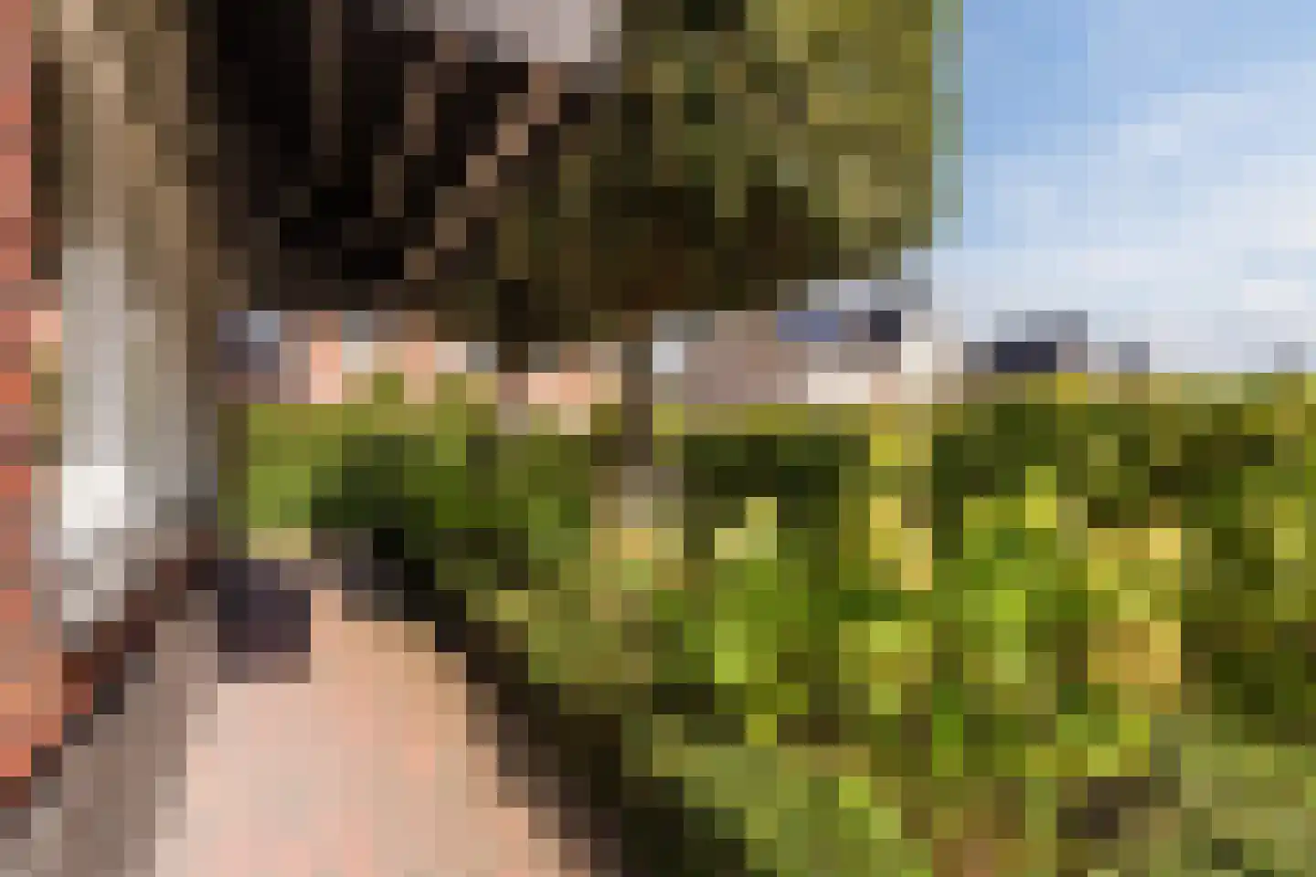 Wouter Oemlaan 4 Papendrecht thumbnail 4