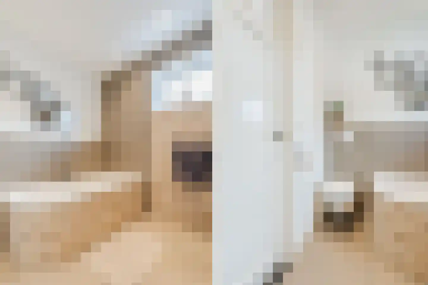 Wouter Oemlaan 4 Papendrecht thumbnail 41