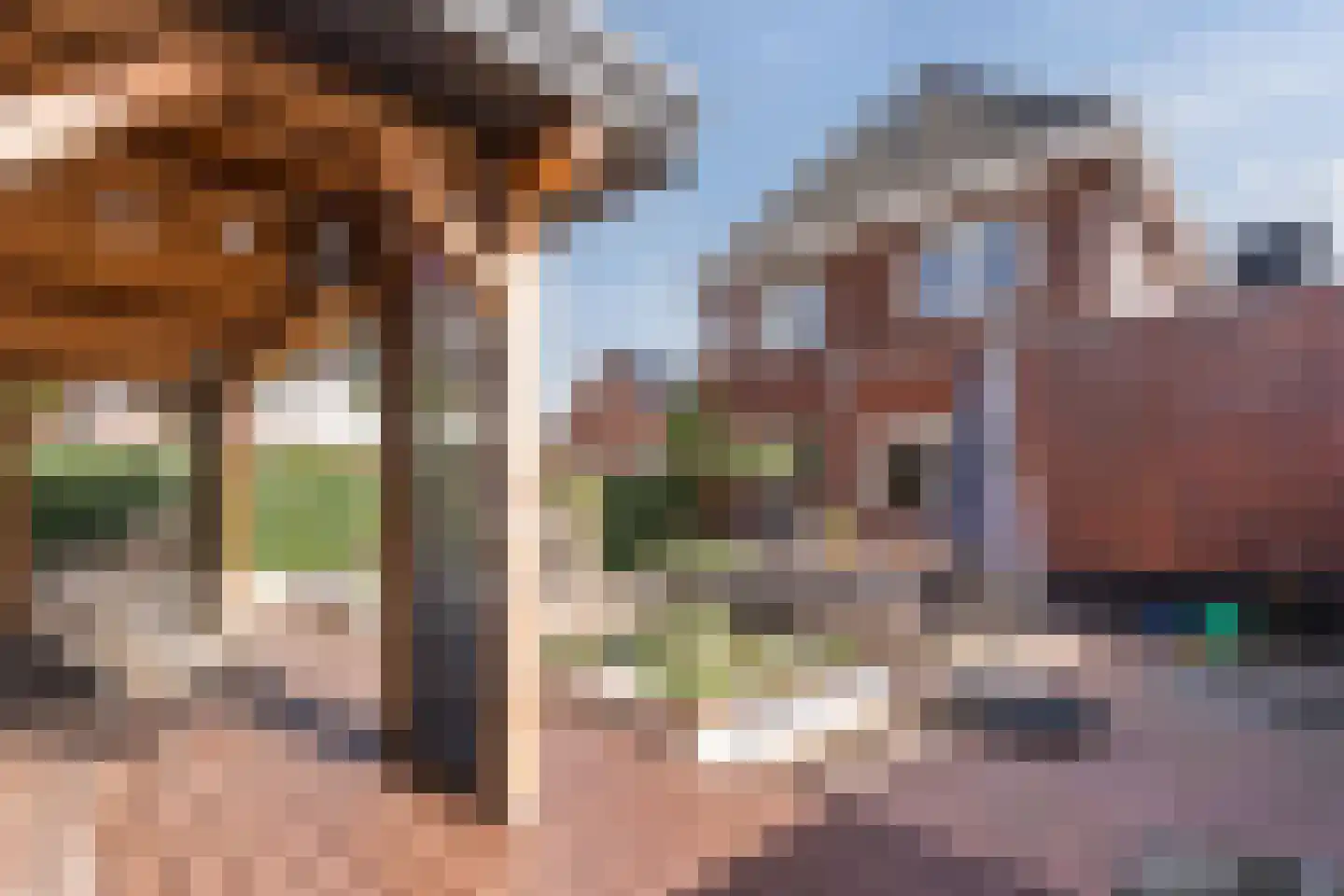 Wouter Oemlaan 4 Papendrecht thumbnail 59
