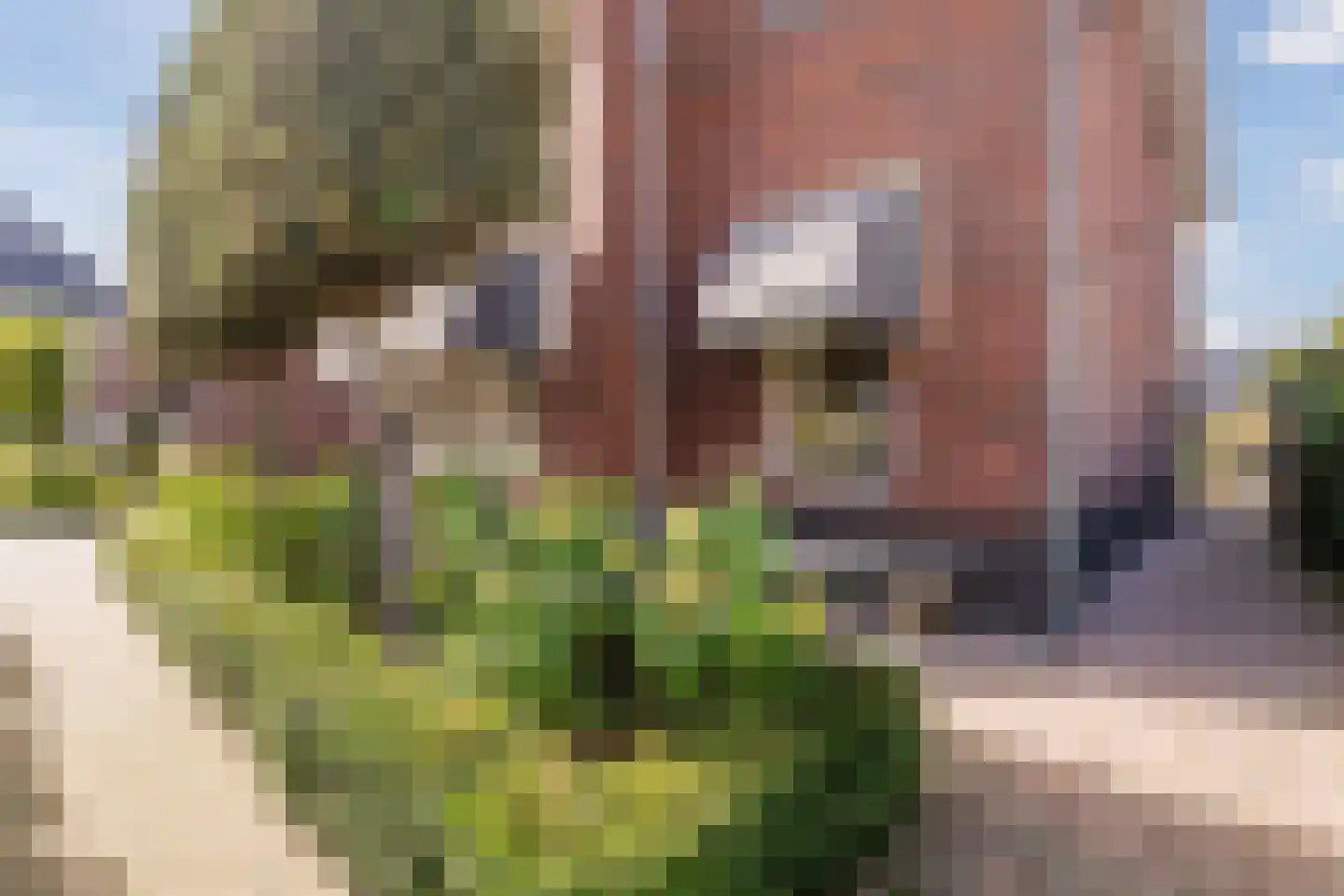 Wouter Oemlaan 4 Papendrecht thumbnail 63