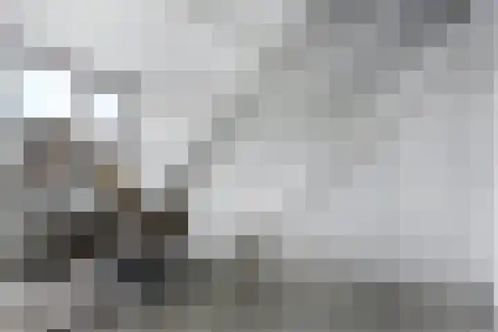 Wouter Sluislaan 10 f Zuidoostbeemster thumbnail 10