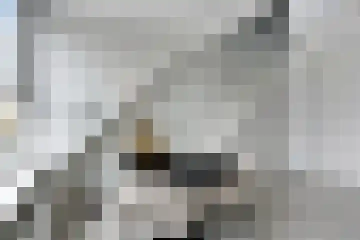 Wouter Sluislaan 10 f Zuidoostbeemster thumbnail 11