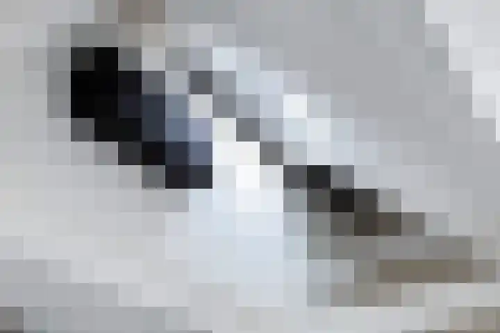 Wouter Sluislaan 10 f Zuidoostbeemster thumbnail 13