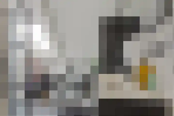 Wouter Sluislaan 10 f Zuidoostbeemster thumbnail 17